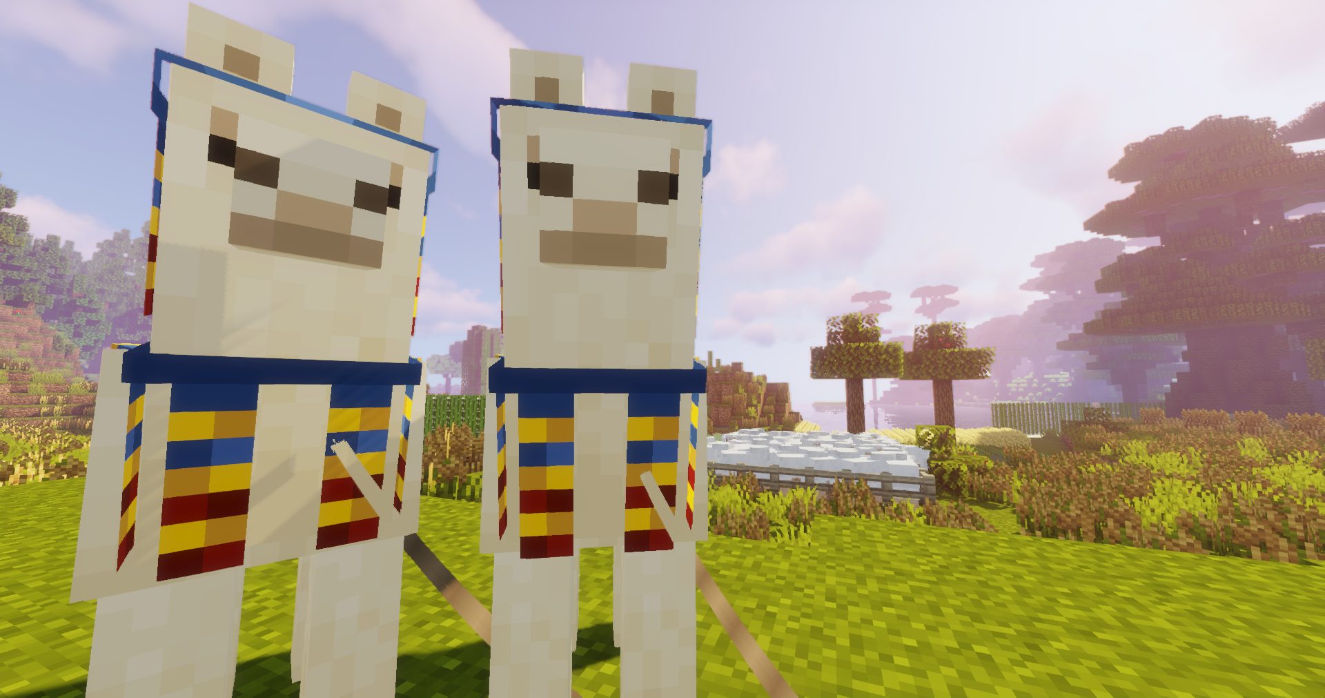 Poneys Suprêmes